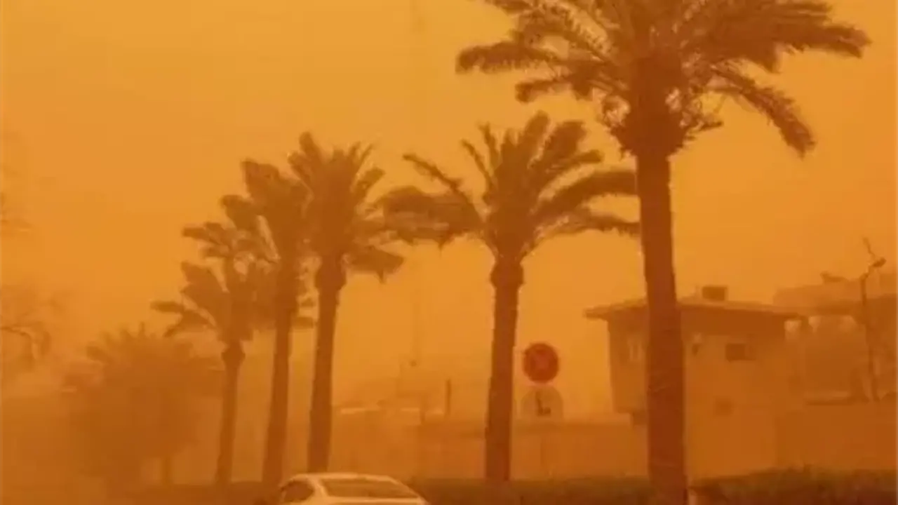 أمطار وأتربة.. تقلبات جوية تضرب المحافظات وتؤثر على حركة الملاحة اليوم السبت